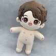 画像2: 【12月中到着予定】20cmdoll【ASTRO】チャウヌ CHAEUNWOO (2)