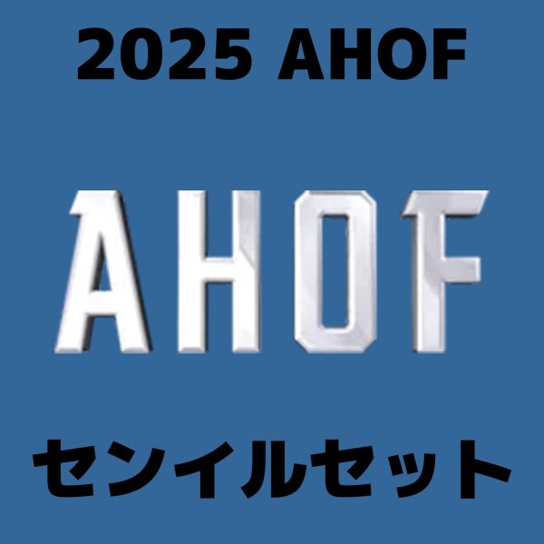 画像1: 2025 AFOH センイル/デビュー記念/来日セット クレカ風カード (1)